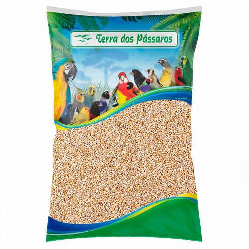 Painço - 5 kg - imagem 1