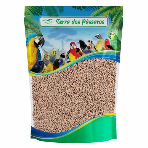 Arroz Japonês Pacholinha - Bolinha - 200g - imagem 1