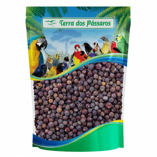 Semente de Zimbro - 100g - imagem 1