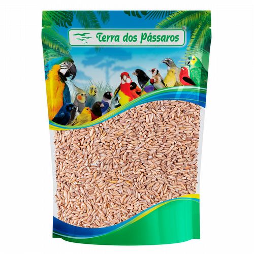 Aveia Sem Casca - 200g - imagem 1