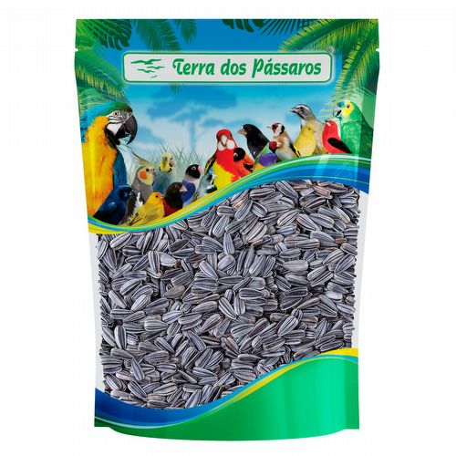 Girassol Nacional - 100g - imagem 1