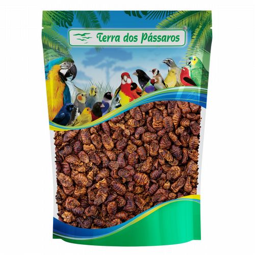 Bicho da Seda - Crisálida - Insetos Desidratados  - 100g - imagem 1