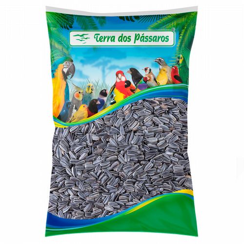 Girassol Nacional - 2,5 kg - imagem 1