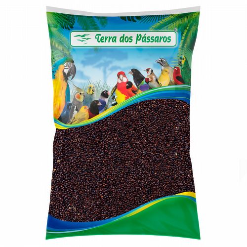Painço Preto - 5 kg - imagem 1