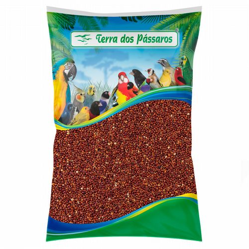 Painço Vermelho - 5 kg - imagem 1
