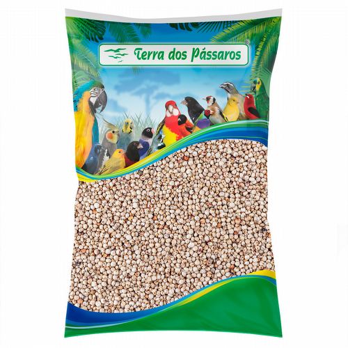 Sorgo Branco - 5 kg - imagem 1
