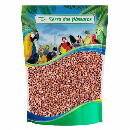 Sorgo Vermelho - 200g - imagem 1