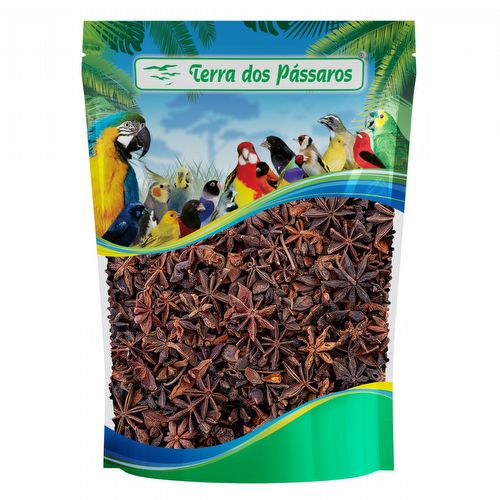 Anis Estrelado - 100g - imagem 1