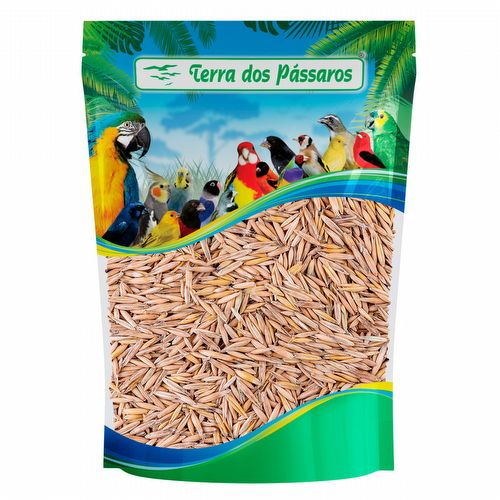 Aveia com Casca - 200g - imagem 1