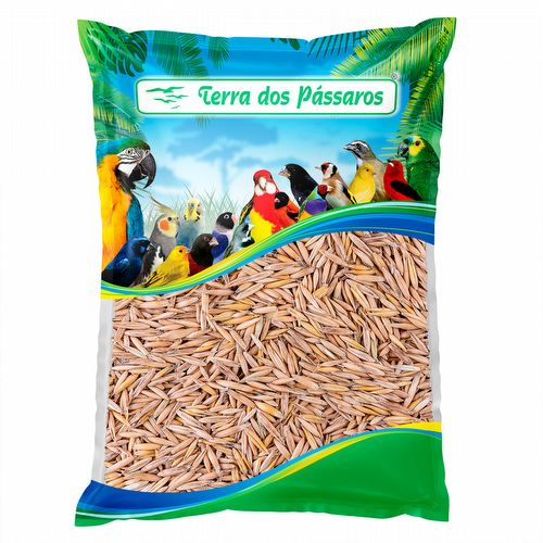 Aveia com Casca - 500g - imagem 1