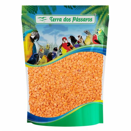 Semente de Lentilha Vermelha - 100g - imagem 1