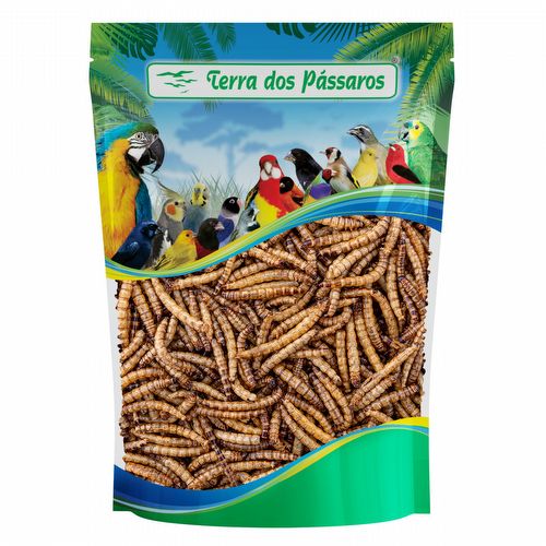 Tenébrio Gigante Desidratado - 50g - imagem 1