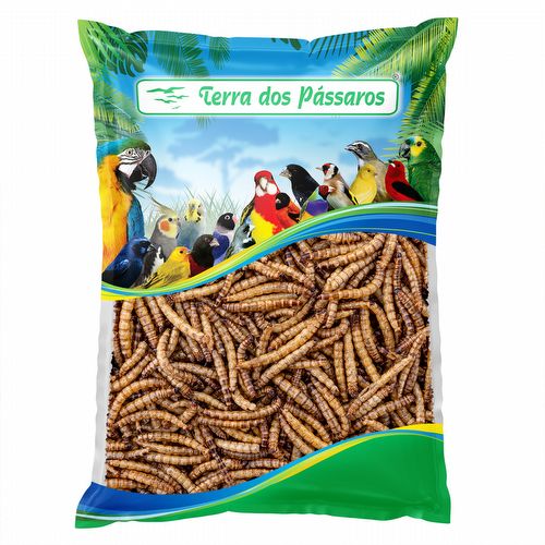 Tenébrio Gigante Desidratado - 100g - imagem 1