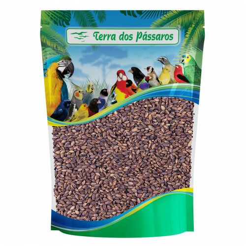 Mini Arroz Bolinha Preto - 200g - imagem 1
