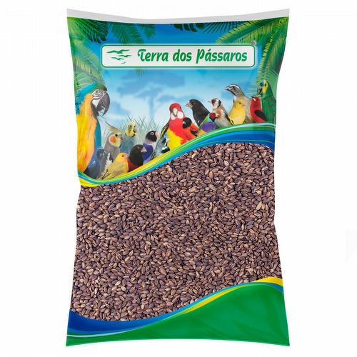 Mini Arroz Bolinha Preto - 5kg - imagem 1