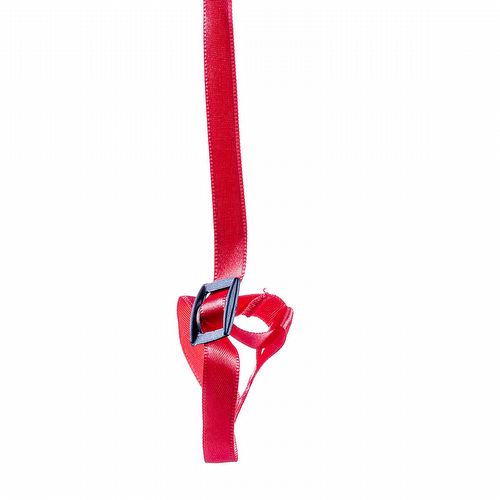 Guia e Peitoral H para Calopsita - Vermelho - imagem 1
