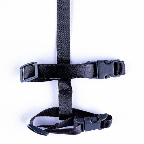 Guia e Peitoral Tradicional para Calopsita - Preto - imagem 1