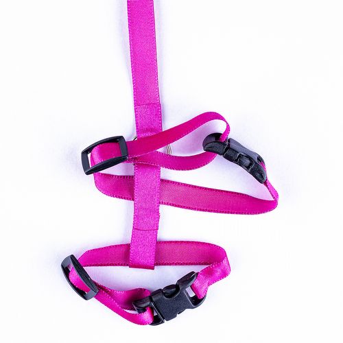 Guia e Peitoral Tradicional para Calopsita - Rosa - imagem 1