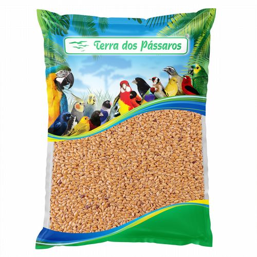 Linhaça Dourada - 500g - imagem 1