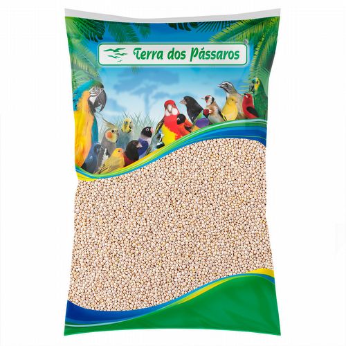 Painço Branco - Alemão - 2,5 kg - imagem 1