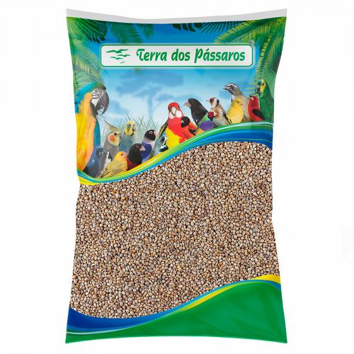 Painço Milheto Nacional - 10 kg - imagem 1