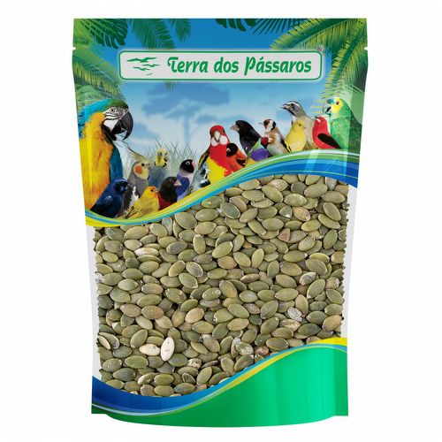 Semente de Abóbora Crua sem Casca - 1kg - imagem 1