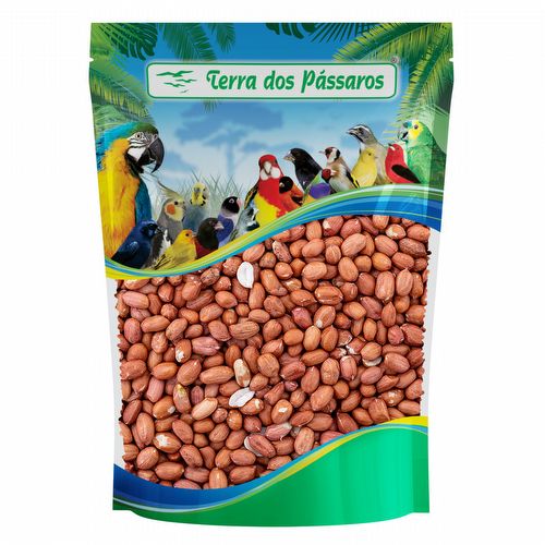 Amendoim sem casca - 500g - imagem 1