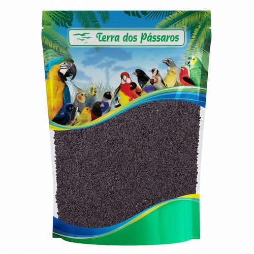 Semente de Alface Gamboa Lisa - 100g - imagem 1