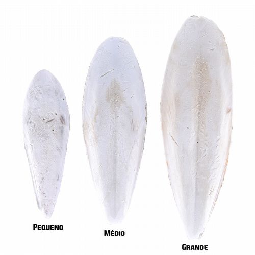 Osso de Siba - Médio - Caixa com 1 kg - imagem 1
