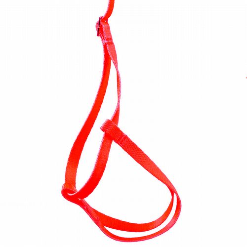 Guia e Peitoral para Papagaio - Vermelho - imagem 1
