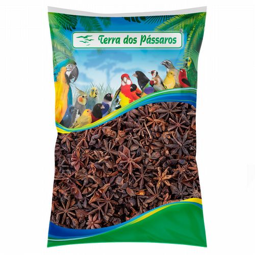 Anis Estrelado - 1kg - imagem 1