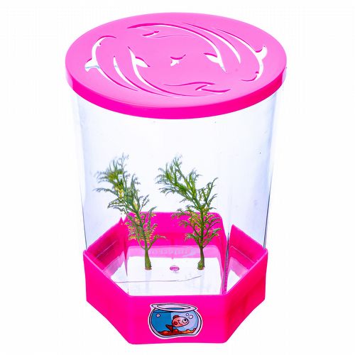 Beteira Decorada -1,4 L - Rosa - imagem 1