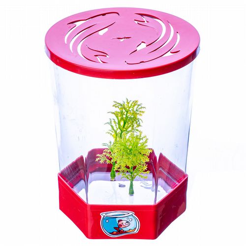 Beteira Decorada -1,4 L - Vermelha - imagem 1