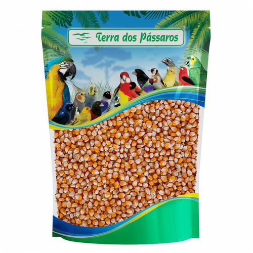 Milho de Pipoca Premium - 200g - imagem 1