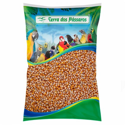 Milho de Pipoca Premium - 5kg - imagem 1