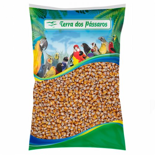 Milho em Grão - 5kg - imagem 1