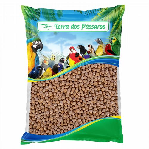 Soja em Grão - 500g - imagem 1