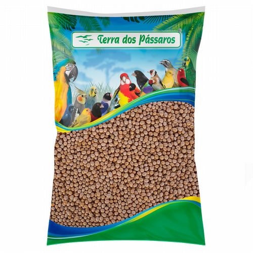 Soja em Grão - 5kg - imagem 1