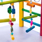 Brinquedo Play Playground com Ponte para Ring Neck - Colorido - imagem 4