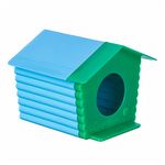 Casinha de Hamster - Azul e Verde