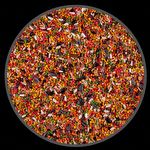Biosuprem - BioSabores - 500g - imagem 2
