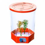Beteira Decorada -1,4 L - Laranja
