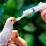 Seringa para Alimentação Pássaros com Colher de Silicone - 20ml - imagem 6