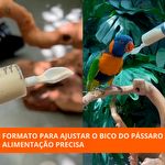 Seringa para Alimentação Pássaros com Colher de Silicone - 20ml - imagem 7