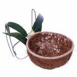 Ninho para Criação Canário, Bicudo, Tico Tico Fibra de Coco com Folhas - NH100