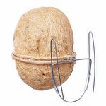 Ninho Bola para Canário da Terra Sisal com Uma Entrada - NH114 - imagem 3
