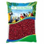 Pimenta Rosa - 1 kg