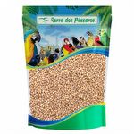 Semente de Cevadinha Integral - 5kg