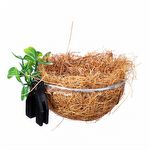Ninho para Criação de Coleiro - Natural Fibra - Folhas E Presilha