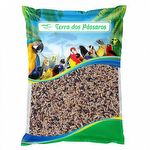 Mistura Canários e Pintagol - Extra - 500g